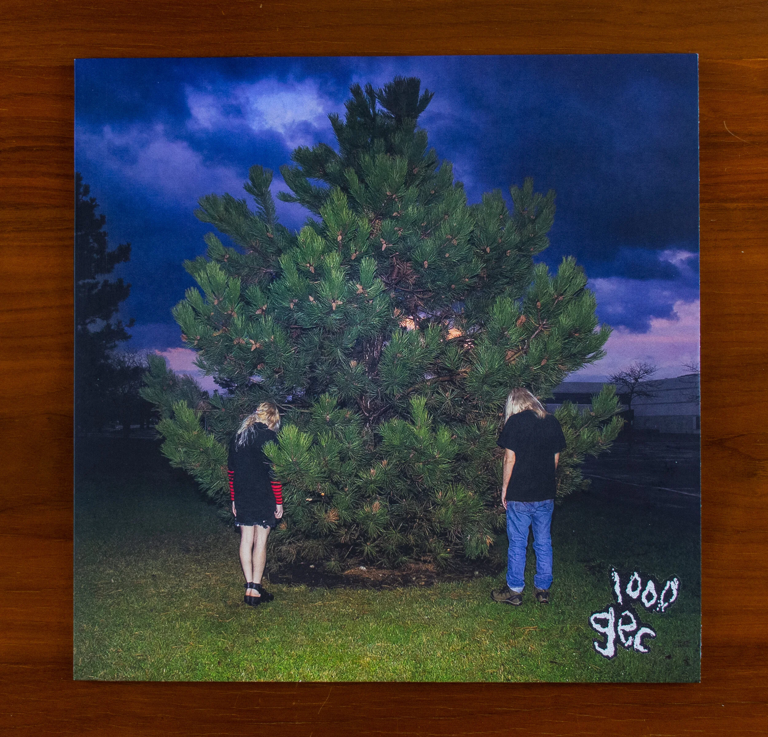 Reveal 0242: 100 Gecs - 1000 Gecs — Vinyl Reveals